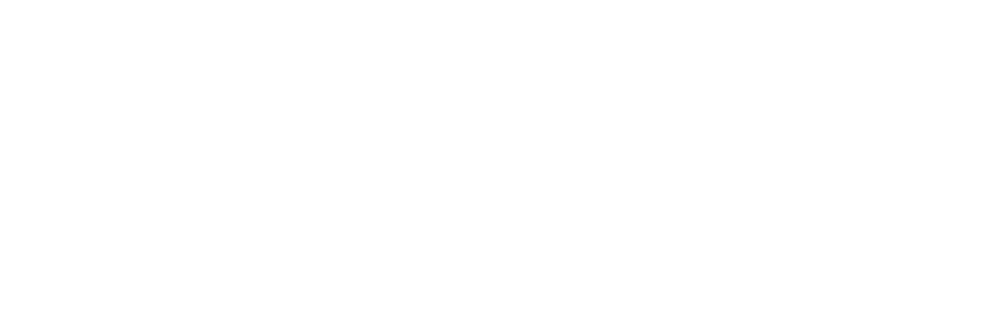 Website title